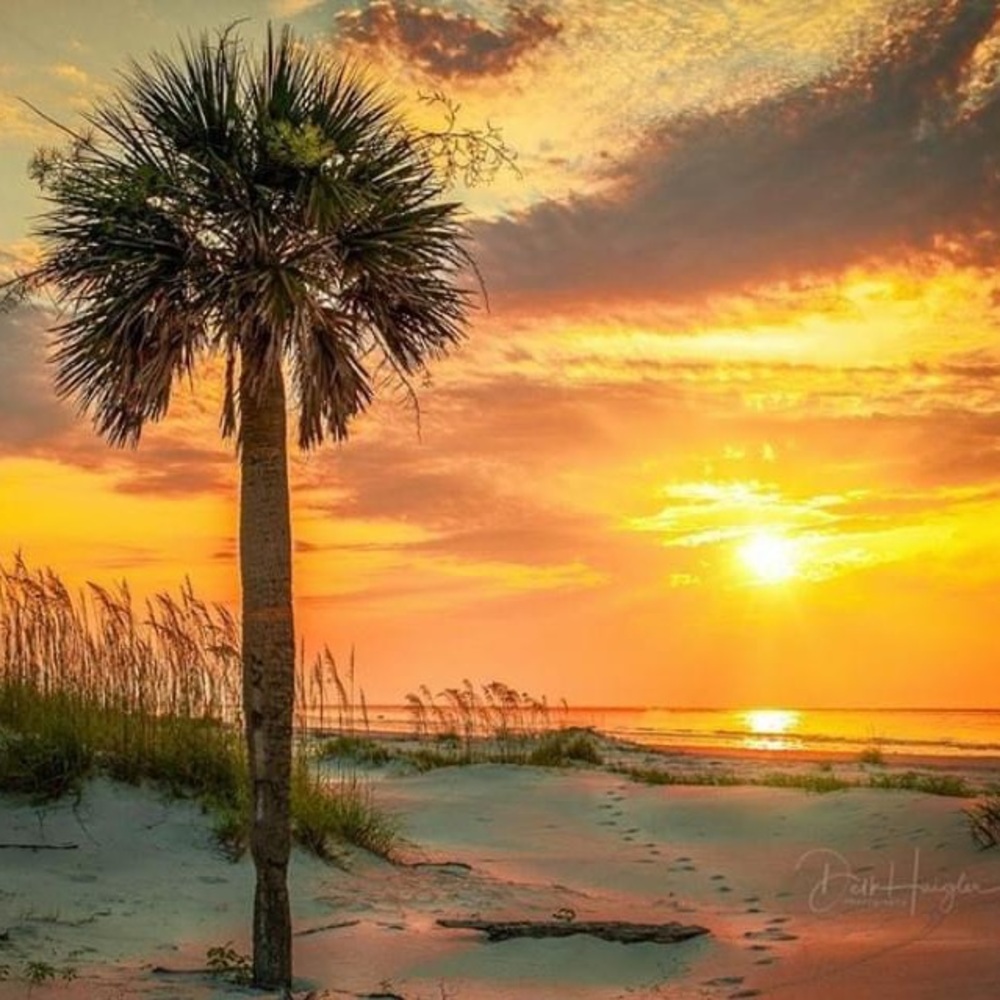 Meet your Posher, Phillip